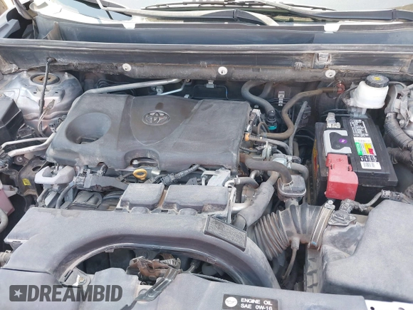 2019 Toyota RAV4 XLE with VIN 2T3W1RFVXKC023834, listed as a IAAI auction lot 41802204 with 78,187 mi miles. Bid and sale history available at carsss.com. Image 10.