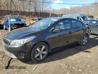 2018 Kia Forte LX with VIN 3KPFL4A75JE186258, listed as a Copart auction lot 47041355 with 160,261 mi miles and Salvage Title. Bid and sale history available at carsss.com. Image 1.