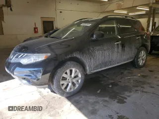 2013 Nissan Murano SV with VIN JN8AZ1MW4DW314675, listed as a Copart auction lot 46052455 with 170,319 mi miles and Clean Title. Bid and sale history available at carsss.com. Image 1.