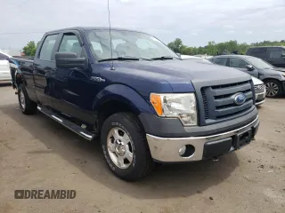 2009 Ford F-150 XL with VIN 1FTRW14889FB41601, listed as a Copart auction lot 61250445 with 101,637 mi miles and Clean title. Bid and sale history available at DreamBid. Image 4.