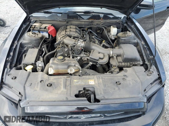 2013 Ford Mustang V6 z VIN 1ZVBP8AM1D5238157, wystawiony jako Copart lot #60427525 z przebiegiem 133 512 mil mil oraz Szkoda całkowita • Salvage title. Historia ofert i sprzedaży dostępna na DreamBid. Obrazek 11.