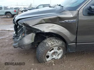 2009 Ford F-150 XL with VIN 1FTRF12W49KB41698, listed as a IAAI auction lot 41949081 with 161,561 mi miles and . Bid and sale history available at DreamBid. Image 6.
