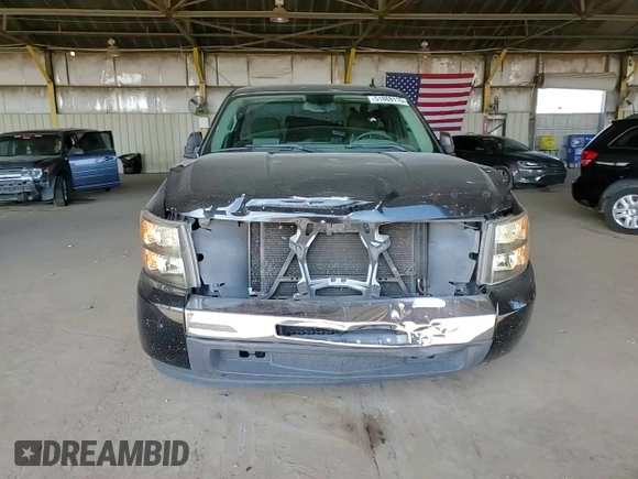 2009 Chevrolet Silverado 1500 Work Truck with VIN 1GCEC14X69Z159141, listed as a Copart auction lot 51869115 with 232,836 mi miles and Salvage Title. Bid and sale history available at DreamBid. Image 10.