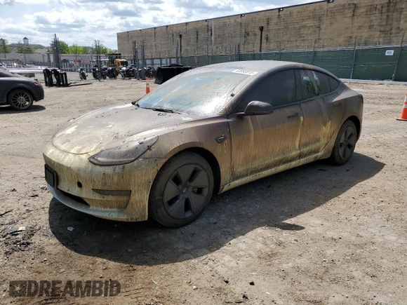 2021 Tesla Model 3 Standard Range Plus z VIN 5YJ3E1EA1MF096234, wystawiony jako Copart lot #53093815 z przebiegiem 14 019 mil mil oraz Szkody całkowita. Historia ofert i sprzedaży dostępna na DreamBid. Obrazek 1.