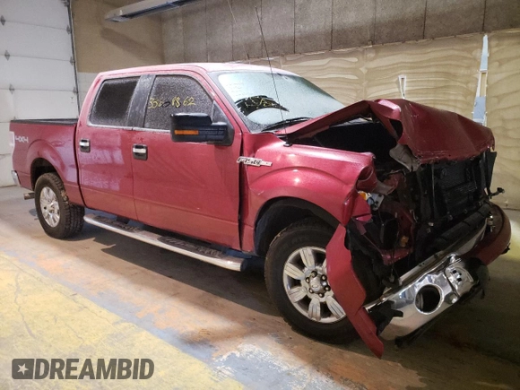 2010 Ford F-150 XL with VIN 1FTEW1E88AFD74475, listed as a Copart auction lot 33668862 with Not Provided miles and Salvage Title. Bid and sale history available at carsss.com. Image 1.
