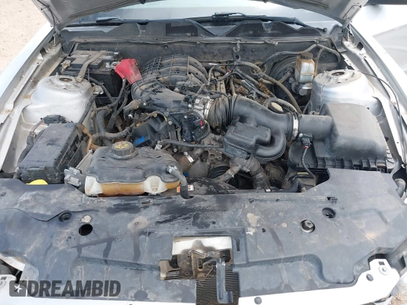 2012 Ford Mustang Premium with VIN 1ZVBP8AMXC5285458, listed as a IAAI auction lot 42162248 with 159,841 mi miles and . Bid and sale history available at DreamBid. Image 10.