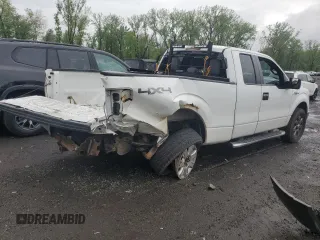 2014 Ford F-150 XL with VIN 1FTEX1EM7EFB23883, listed as a Copart auction lot 55429125 with 74,002 mi miles and Salvage title. Bid and sale history available at DreamBid. Image 3.
