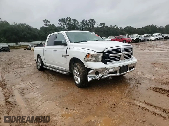 2014 Ram 1500 Lone Star with VIN 1C6RR6LM8ES397829, listed as a Copart auction lot 80189694 with 151,301 mi miles and Salvage title. Bid and sale history available at DreamBid. Image 11.