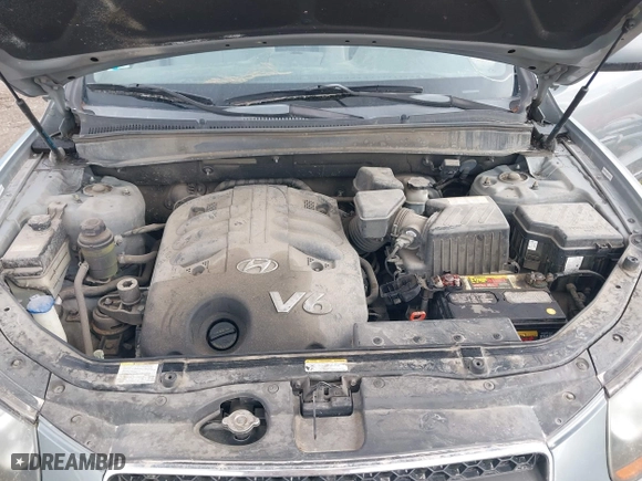 2008 Hyundai Santa Fe SE with VIN 5NMSH13E08H140124, listed as a IAAI auction lot 41889538 with 159,606 mi miles. Bid and sale history available at carsss.com. Image 10.