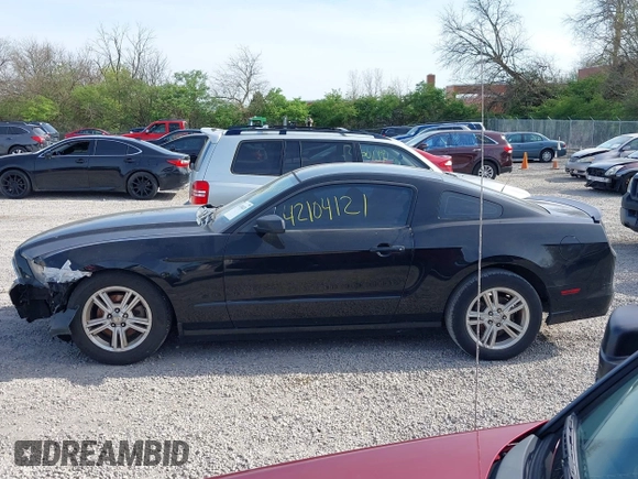 2013 Ford Mustang V6 with VIN 1ZVBP8AM7D5203672, listed as a IAAI auction lot 42104121 with 215,815 mi miles. Bid and sale history available at carsss.com. Image 15.