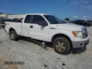 2010 Ford F-150 XL with VIN 1FTEX1E89AFB10260, listed as a Copart auction lot 57491885 with 185,044 mi miles and Salvage title. Bid and sale history available at DreamBid. Image 4.