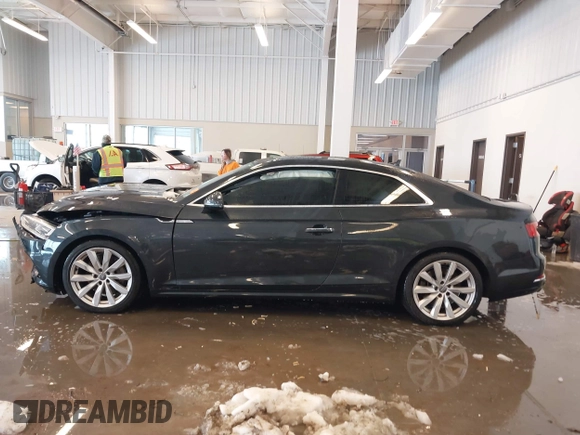 2018 Audi A5 Premium Plus with VIN WAUPNAF51JA073637, listed as a IAAI auction lot 41289291 with Not Provided miles and . Bid and sale history available at DreamBid. Image 14.