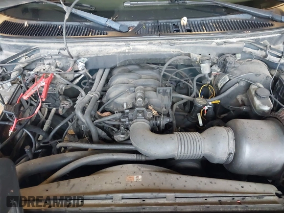 2001 Ford F-150 with VIN 1FTZF182X1KA13166, listed as a IAAI auction lot 42513979 with 197,994 mi miles and . Bid and sale history available at DreamBid. Image 10.