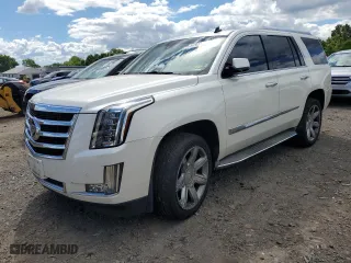 2015 Cadillac Escalade Luxury with VIN 1GYS4BKJ2FR178229, listed as a Copart auction lot 57933444 with 176,953 mi miles and Salvage Title. Bid and sale history available at carsss.com. Image 1.