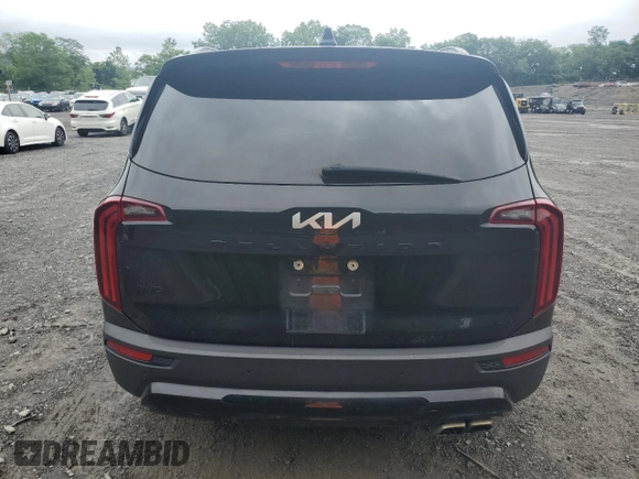2022 Kia Telluride EX with VIN 5XYP3DHC5NG207139, listed as a Copart auction lot 60104755 with 101,632 mi miles and Salvage title. Bid and sale history available at DreamBid. Image 6.