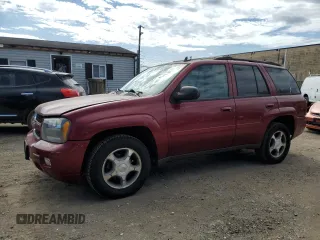 2009 Chevrolet TrailBlazer 1LT with VIN 1GNDS33S192111854, listed as a Copart auction lot 50090665 with 201,414 mi miles and Clean Title. Bid and sale history available at DreamBid. Image 1.