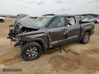 2025 Toyota Tundra 4WD 1794 Edition with VIN 5TFMA5DB6SX240543, listed as a Copart auction lot 48318905 with 0 mi miles and Salvage Title. Bid and sale history available at carsss.com. Image 1.
