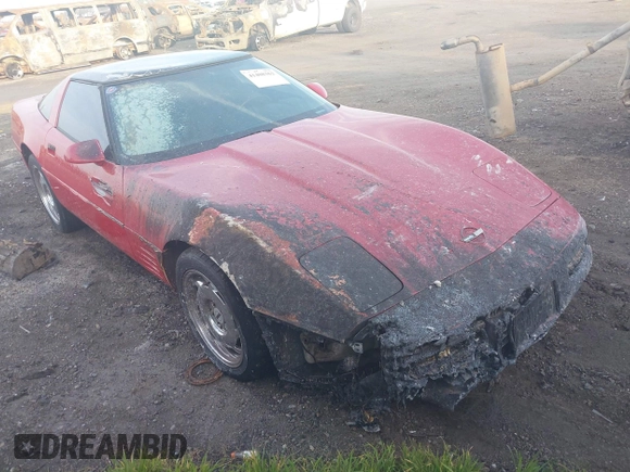 1991 Chevrolet Corvette z VIN 1G1YY2385M5117941, wystawiony jako IAAI lot #41408362 z przebiegiem Nie podano mil oraz . Historia ofert i sprzedaży dostępna na DreamBid. Obrazek 1.