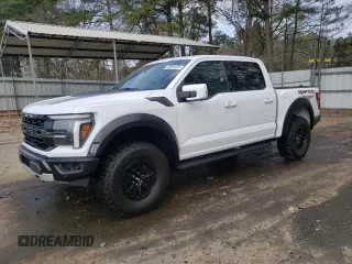 2024 Ford F-150 Raptor with VIN 1FTFW1RG5RFA24884, listed as a Copart auction lot 48981025 with 116 mi miles and Salvage Title. Bid and sale history available at carsss.com. Image 1.