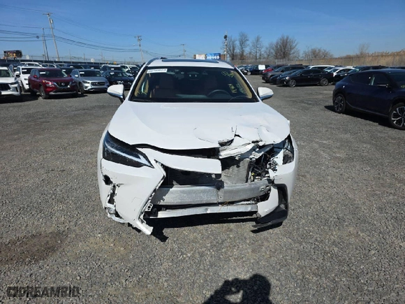 2024 Lexus NX with VIN 2T2GGCEZ9RC049053, listed as a Copart auction lot 47465985 with 14,464 mi miles and Salvage Title. Bid and sale history available at carsss.com. Image 5.