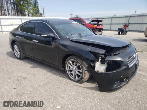 2009 Nissan Maxima SV with VIN 1N4AA51E99C807465, listed as a Copart auction lot 49768325 with Not Provided miles and Salvage Title. Bid and sale history available at DreamBid. Image 4.