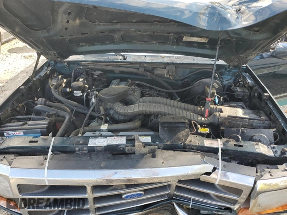 1994 Ford F-150 with VIN 1FTEX15H0RKA17405, listed as a Copart auction lot 73157234 with 118,860 mi miles and Non Repairable. Bid and sale history available at carsss.com. Image 11.