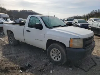 2009 Chevrolet Silverado 1500 Work Truck with VIN 1GCEC14X19Z225725, listed as a Copart auction lot 51499965 with Not Provided miles and Salvage Title. Bid and sale history available at DreamBid. Image 4.