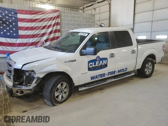2013 Ford F-150 XL with VIN 1FTFW1ET6DFD16958, listed as a Copart auction lot 46239485 with 163,442 mi miles and Salvage Title. Bid and sale history available at carsss.com. Image 1.