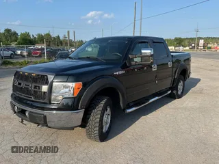 2009 Ford F-150 XL with VIN 1FTRW12889FB24610, listed as a Copart auction lot 62431355 with 254,000 mi miles and Clean title. Bid and sale history available at DreamBid. Image 2.