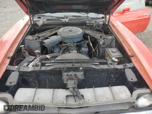 1972 Ford Mustang с VIN 2F03F214245, выставлен на аукционе Copart как лот 77535234 с пробегом 77 547 миль миль и Списание • Salvage title. История ставок и продаж доступна на DreamBid. Изображение 11.