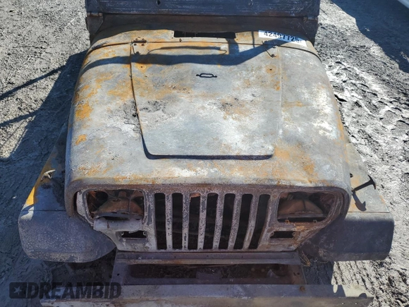 1995 Jeep Wrangler S with VIN 1J4FY19P9SP301556, listed as a Copart auction lot 42497725 with 0 mi miles and Salvage Title. Bid and sale history available at carsss.com. Image 12.