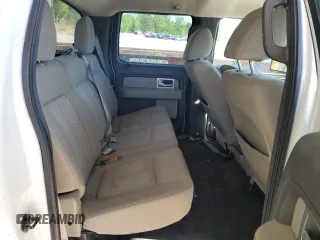 2010 Ford F-150 XL with VIN 1FTEW1C80AFA70138, listed as a Copart auction lot 53135735 with 209,803 mi miles and Salvage Title. Bid and sale history available at carsss.com. Image 10.