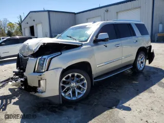 2016 Cadillac Escalade Luxury Collection with VIN 1GYS4BKJXGR175502, listed as a Copart auction lot 50012785 with 204,862 mi miles and Salvage Title. Bid and sale history available at carsss.com. Image 1.