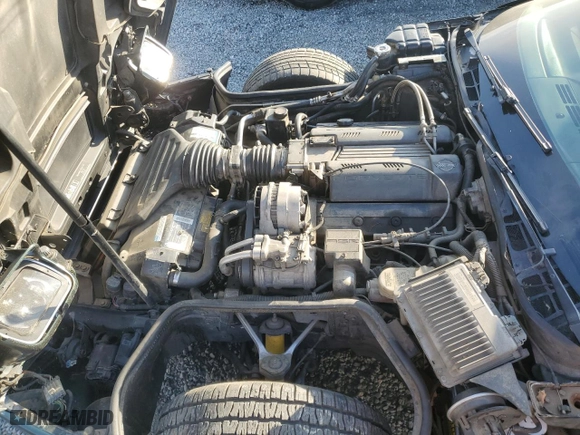 1994 Chevrolet Corvette with VIN 1G1YY22P2R5113040, listed as a Copart auction lot 83253754 with 178,544 mi miles and Clean Title. Bid and sale history available at carsss.com. Image 11.