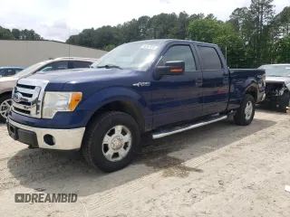 2010 Ford F-150 XL with VIN 1FTFW1EV8AFD94459, listed as a Copart auction lot 60367055 with 177,775 mi miles and Salvage title. Bid and sale history available at DreamBid. Image 1.