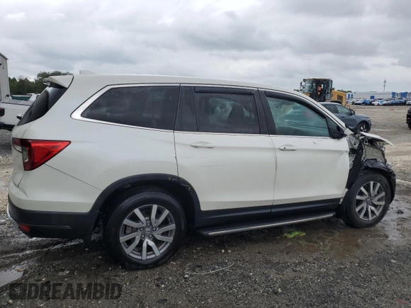 2019 Honda Pilot EX-L with VIN 5FNYF5H46KB039119, listed as a Copart auction lot 69801854 with 48,470 mi miles and Salvage title. Bid and sale history available at DreamBid. Image 3.