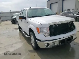 2013 Ford F-150 XL with VIN 1FTEX1CM4DFC81650, listed as a Copart auction lot 52021375 with 172,413 mi miles and Salvage title. Bid and sale history available at DreamBid. Image 13.