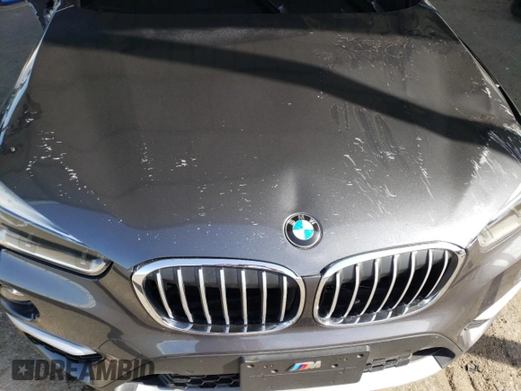 2017 BMW X1 sDrive28i with VIN WBXHU7C34HP924730, listed as a Copart auction lot 52245005 with 0 mi miles and Salvage Title. Bid and sale history available at carsss.com. Image 13.