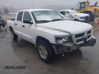 2010 Dodge Dakota Bighorn/Lonestar with VIN 1D7CW3GK0AS228256, listed as a IAAI auction lot 41552140 with 195,566 mi miles. Bid and sale history available at carsss.com. Image 1.
