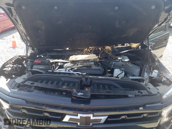 2022 Chevrolet Silverado 1500 RST with VIN 1GCUDEET5NZ604636, listed as a Copart auction lot 74376334 with 18,705 mi miles and Salvage Title. Bid and sale history available at DreamBid. Image 11.