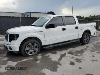 2014 Ford F-150 XL with VIN 1FTEW1CM3EFA86157, listed as a Copart auction lot 61084245 with 416,688 mi miles and Salvage title. Bid and sale history available at DreamBid. Image 1.