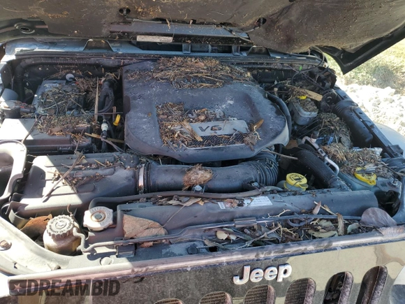 2014 Jeep Wrangler Sahara with VIN 1C4AJWBG3EL258582, listed as a Copart auction lot 74921604 with 17,777 mi miles and Non Repairable. Bid and sale history available at DreamBid. Image 12.