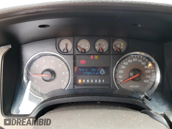 2010 Ford F-150 XL with VIN 1FTEX1E8XAFB69365, listed as a Copart auction lot 59037645 with 137,065 mi miles and Salvage title. Bid and sale history available at DreamBid. Image 9.