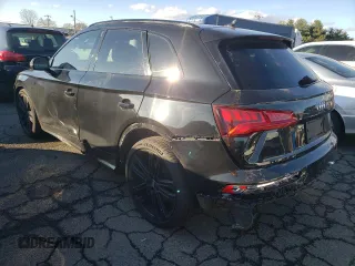 2018 Audi SQ5 Prestige with VIN WA1C4AFY3J2007576, listed as a Copart auction lot 81614504 with 119,120 mi miles and Salvage Title. Bid and sale history available at DreamBid. Image 2.