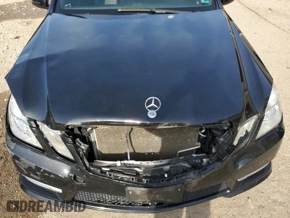 2013 Mercedes-Benz E 350 Luxury with VIN WDDHF8JB2DA706263, listed as a Copart auction lot 54741345 with 208,928 mi miles and Salvage Title. Bid and sale history available at DreamBid. Image 11.