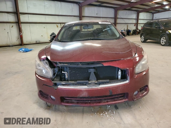 2011 Nissan Maxima SV with VIN 1N4AA5AP5BC851017, listed as a Copart auction lot 49767035 with 234,039 mi miles and Salvage title. Bid and sale history available at DreamBid. Image 5.