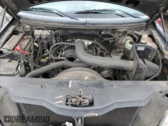 2005 Ford F-150 XLT with VIN 1FTPX14515FB59362, listed as a Copart auction lot 56751995 with 164,390 mi miles and Salvage title. Bid and sale history available at DreamBid. Image 11.