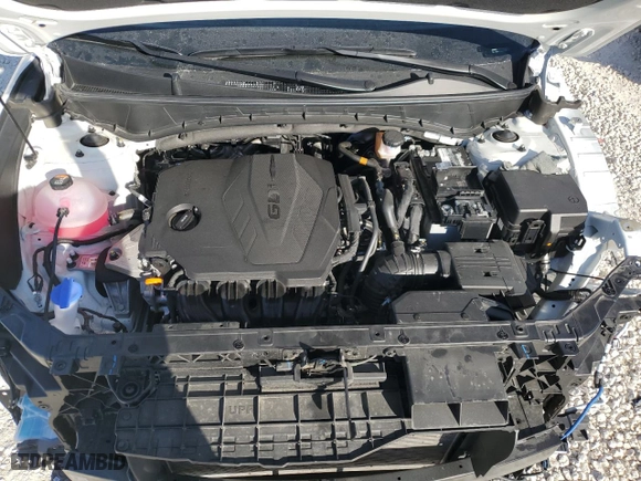 2024 Hyundai Tucson SEL with VIN 5NMJF3DE3RH430290, listed as a Copart auction lot 81738934 with 22,909 mi miles and Salvage Title. Bid and sale history available at carsss.com. Image 12.