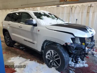 2020 Jeep Grand Cherokee Trailhawk with VIN 1C4RJFLT3LC247609, listed as a Copart auction lot 84491864 with 68,957 mi miles and Salvage title. Bid and sale history available at DreamBid. Image 4.
