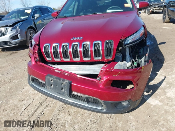 2015 Jeep Cherokee Limited with VIN 1C4PJMDS1FW646135, listed as a IAAI auction lot 41991811 with 123,229 mi miles. Bid and sale history available at carsss.com. Image 6.